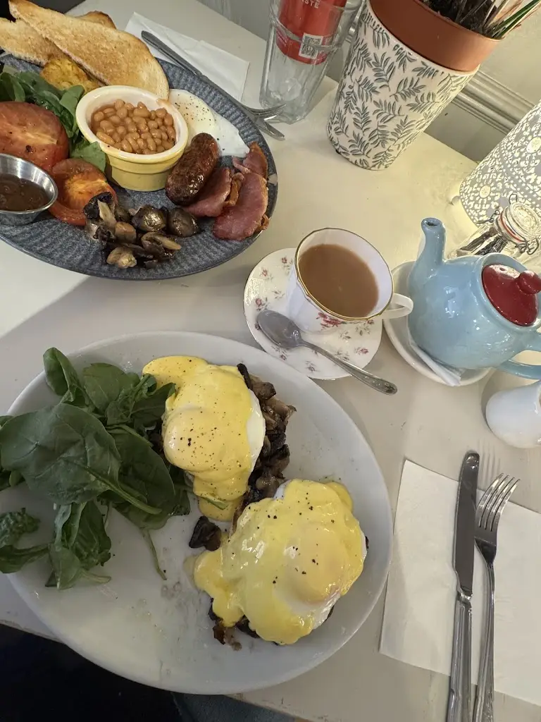 Karen Harvie_Hungry Birds_District of Rutland_review