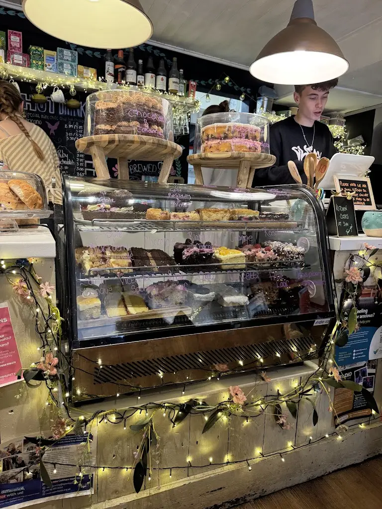 D B_Hungry Birds_District of Rutland_review