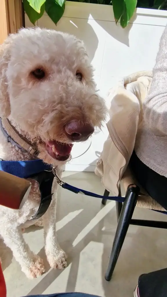 The View at Rutland Nursery_District of Rutland_slider_image_2