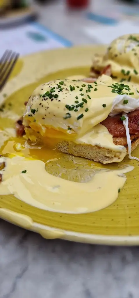 Menu_Vivo Lounge_Dorchester_image_8