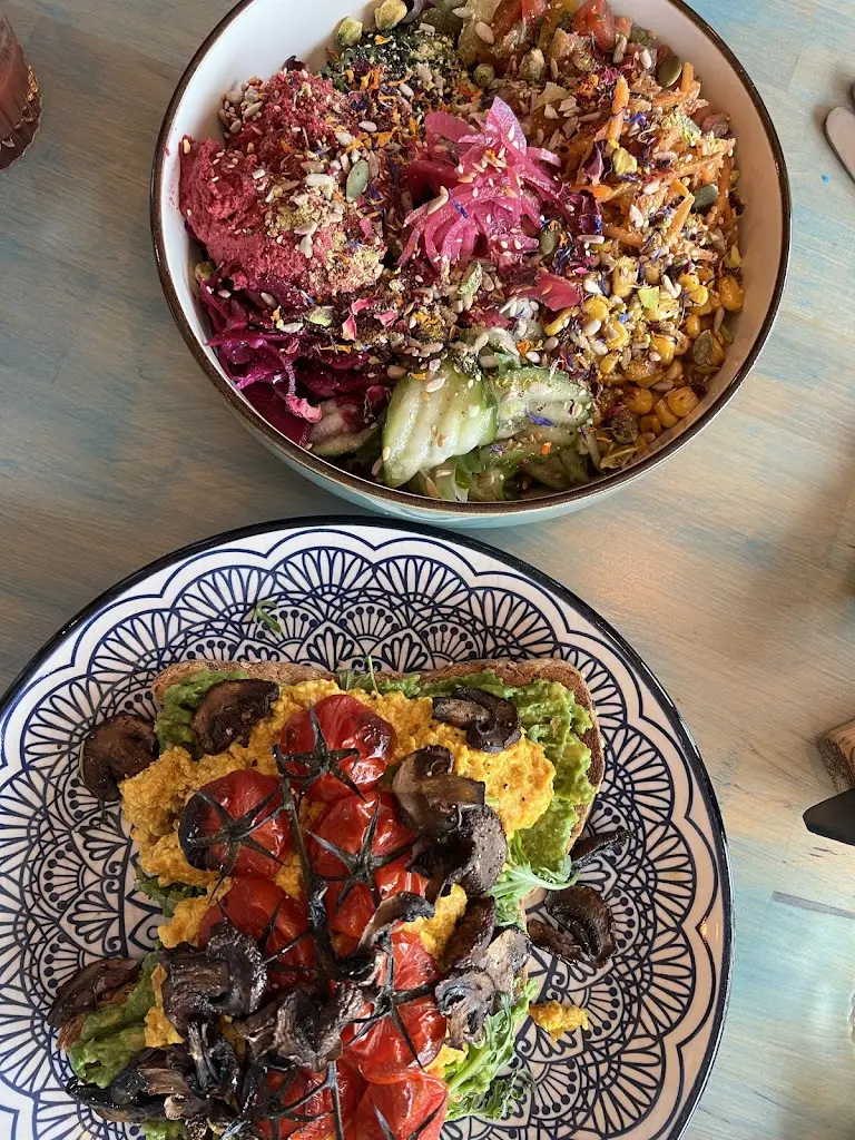 naomi_The Magic Sunflower_Dronfield_review