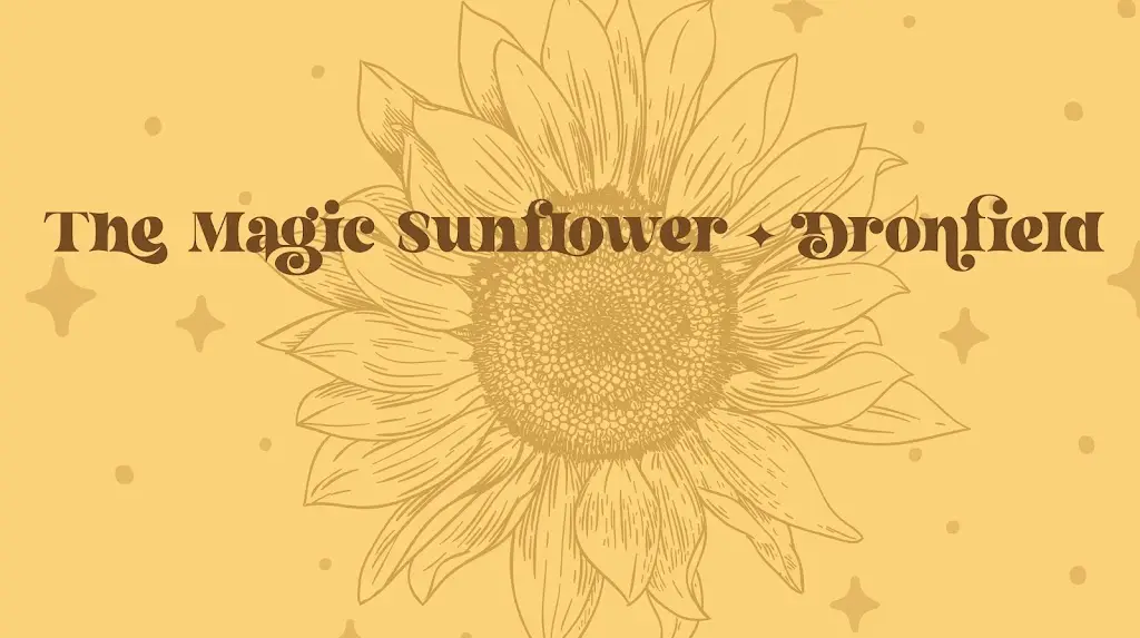 The Magic Sunflower_Dronfield_slider_image_3