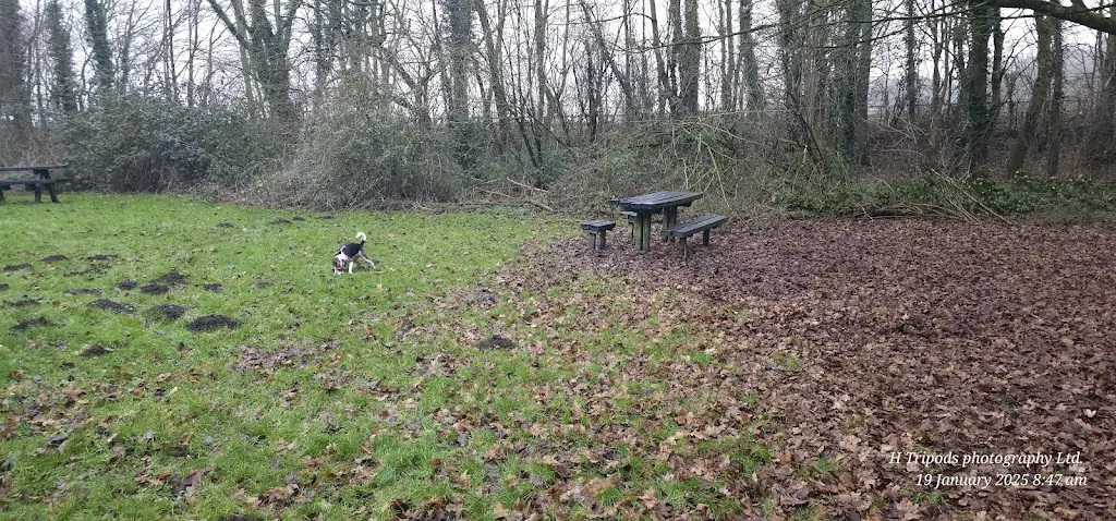 Grandma's Kitchen_Driffield_slider_image_3