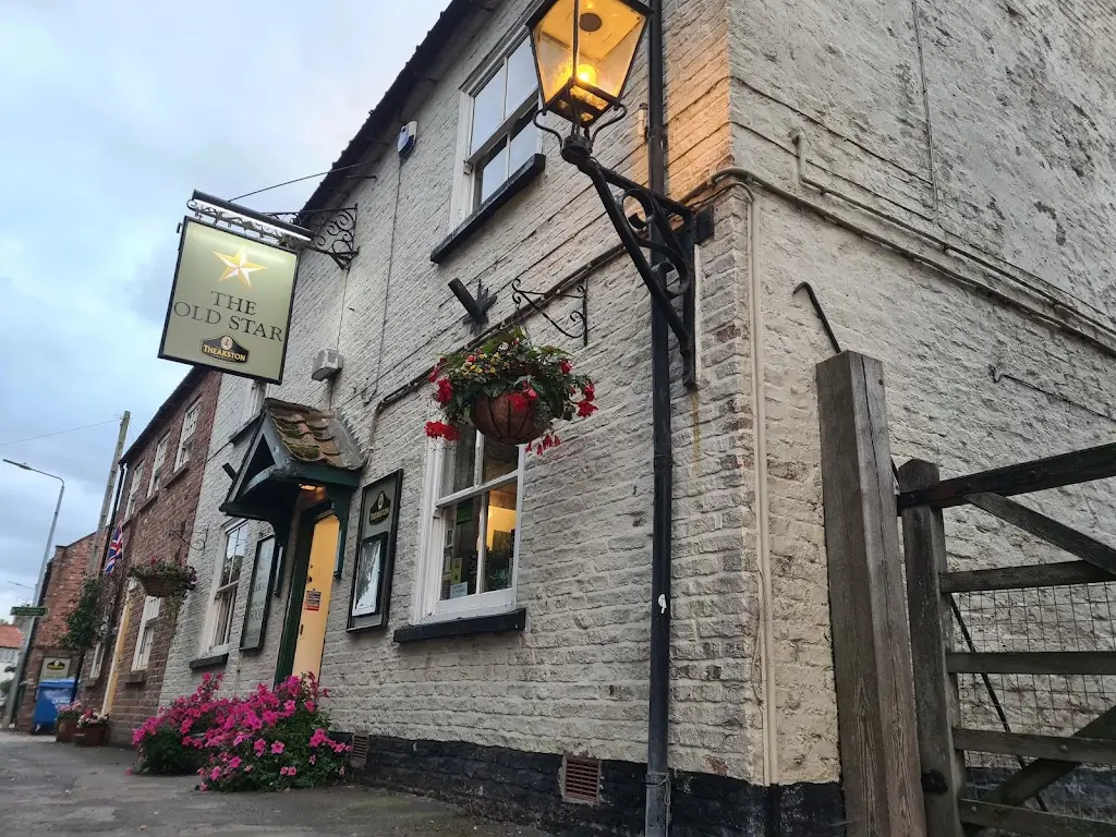 Luna Boston Terrier_The Old Star_Driffield_review