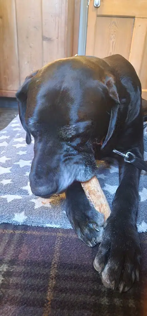 Steve Parkes_The Bridge Inn_Dulverton_review