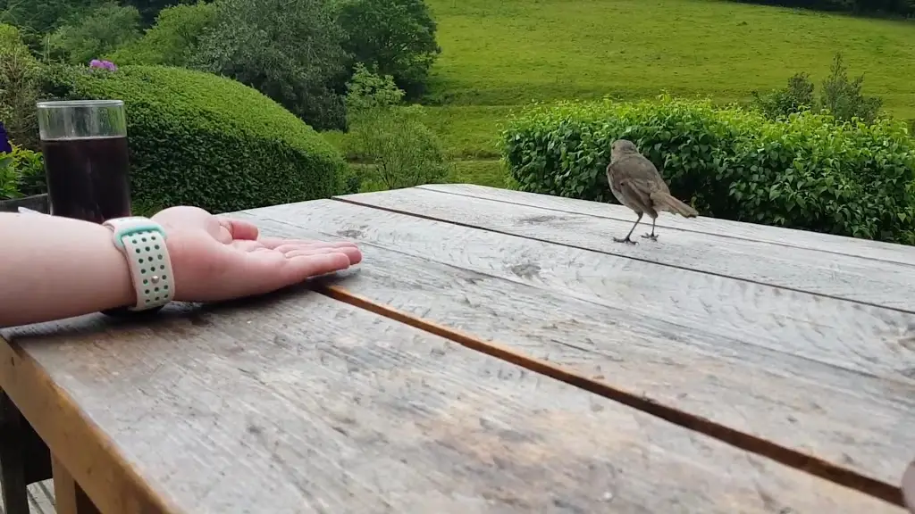 Tarr Farm Inn restaurant in Dulverton