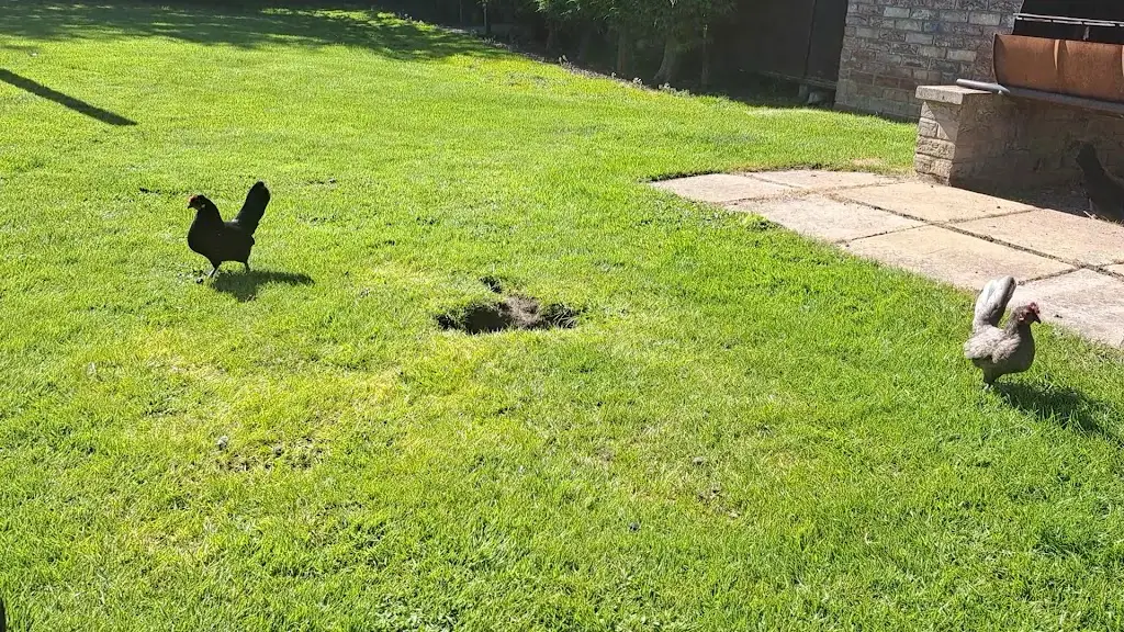 The Ship Inn_Dunswell_slider_image_2