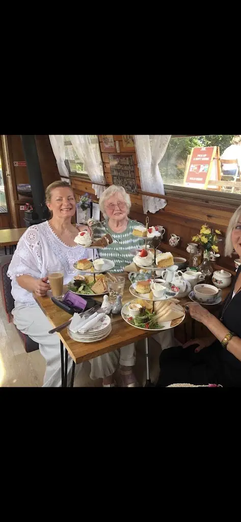 Penny b_Safari narrow boat tearoom_Droylsden_review