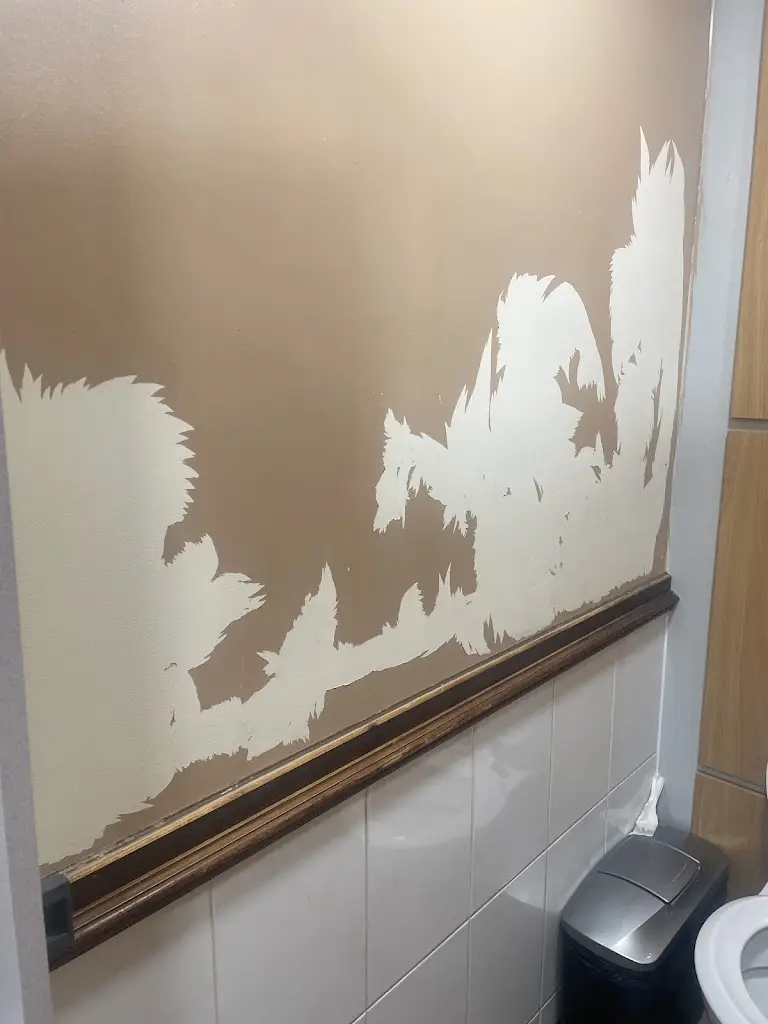 RACHAEL KIRKWOOD_Ash Tree Farm_Droylsden_review