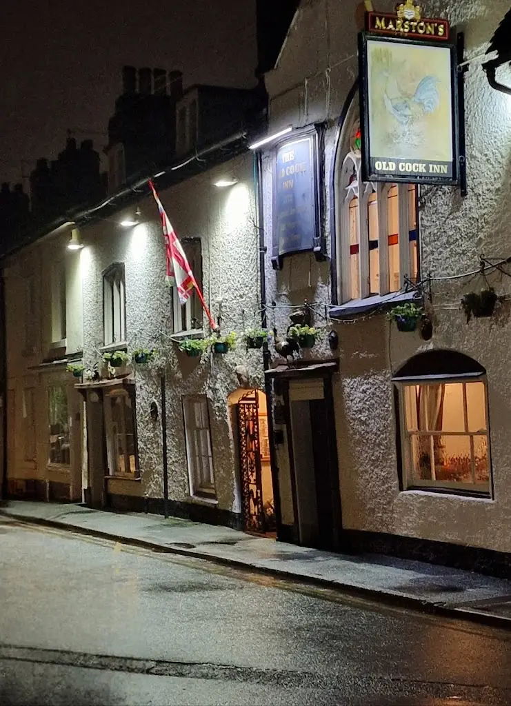 Jelena Ol_Old Cock Inn_Droitwich_review