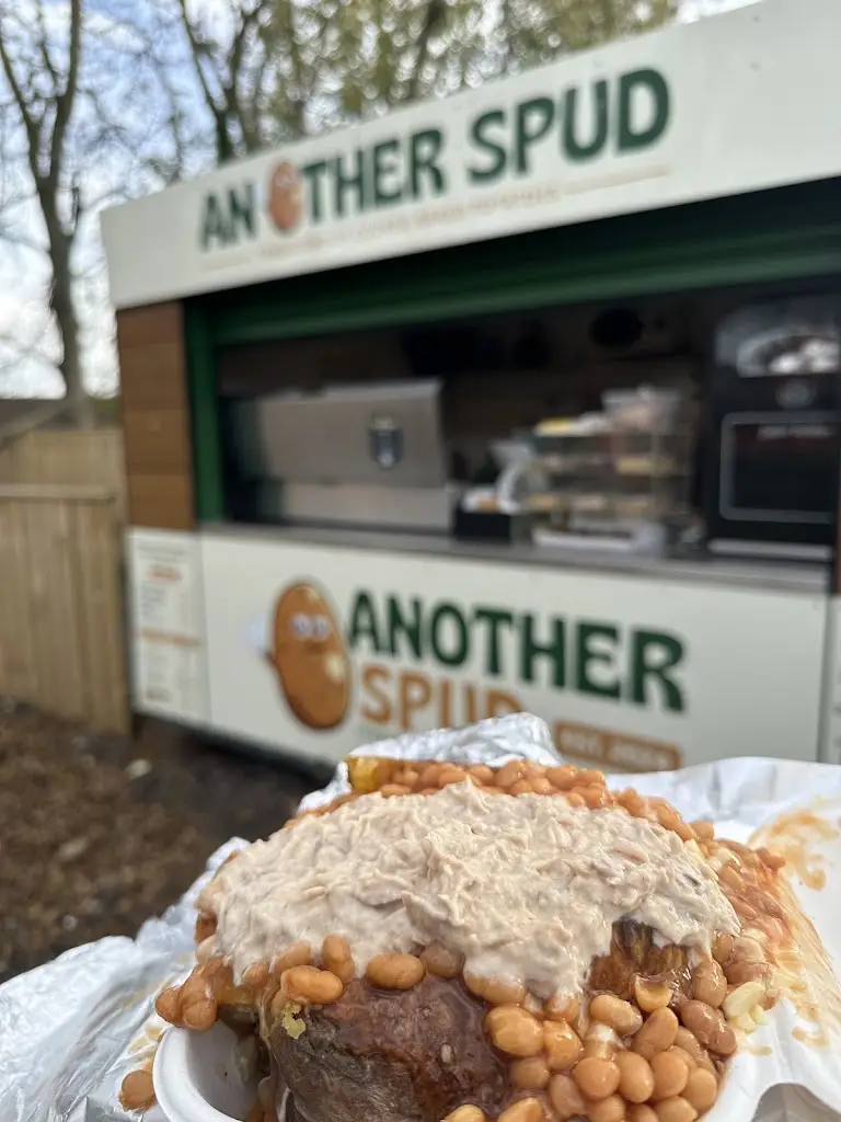 Jia Begum_Another Spud_Ashington_recensione