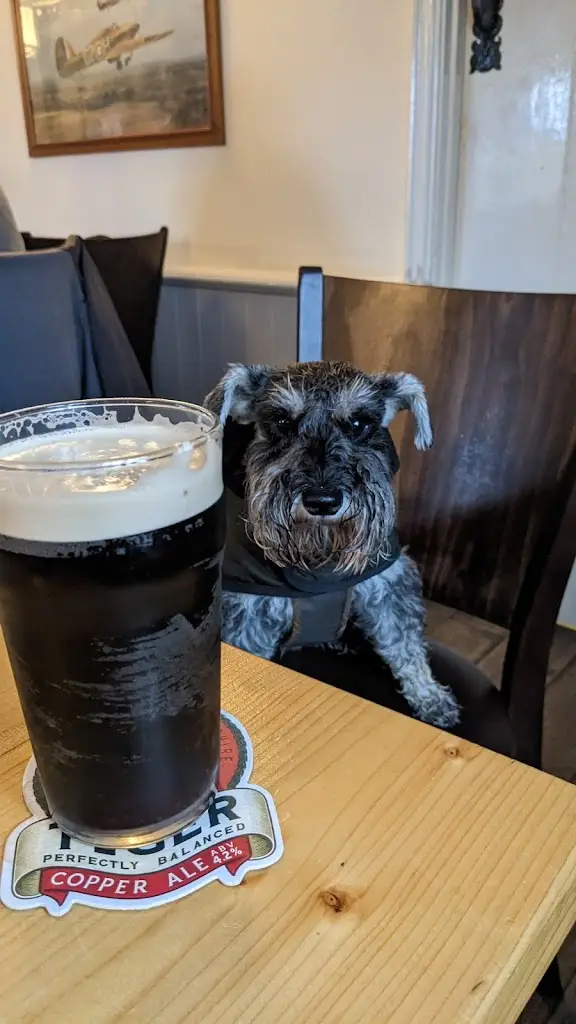 Menu_The Plough_Duxford_image_5