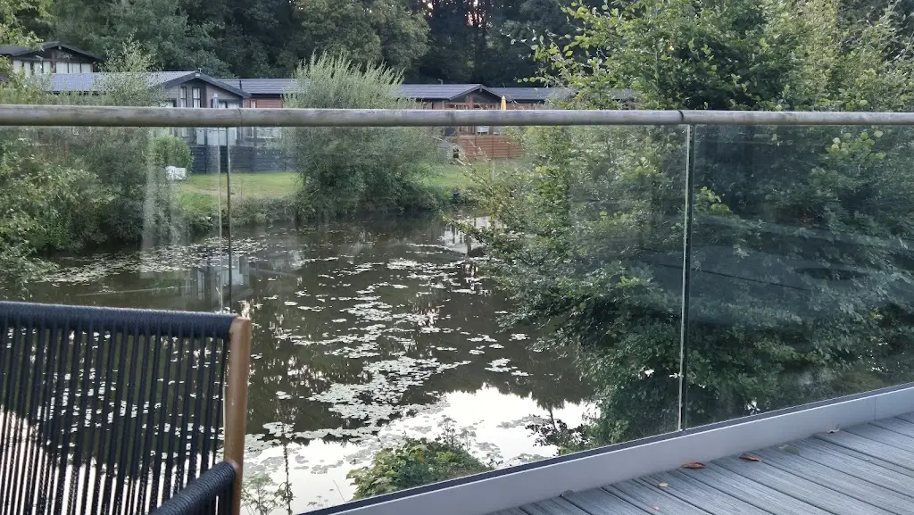 Guy S_Lakeview Manor_Dunkeswell_review