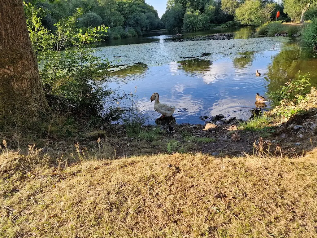 Roger Unwin_Lakeview Manor_Dunkeswell_review