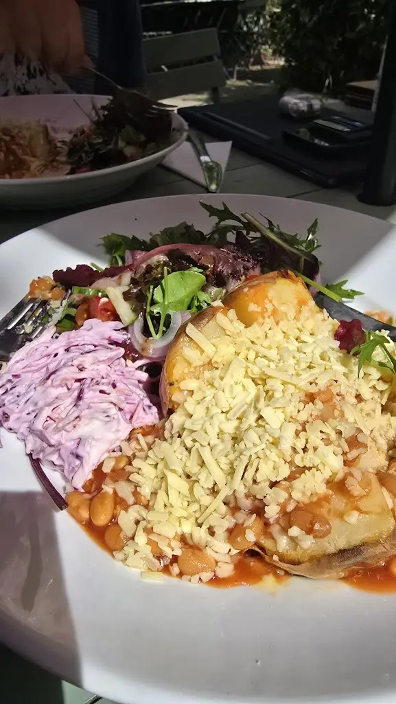 Dilara Wilkins_Toast_Dunkeswell_review