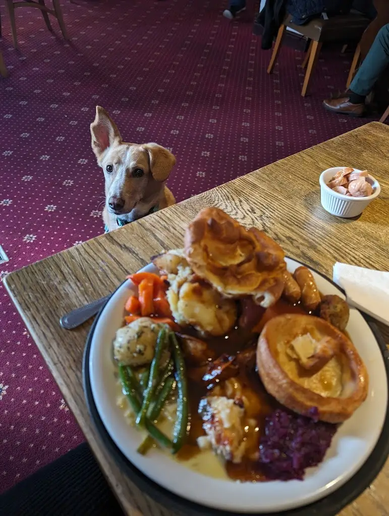 Menu_The Otter Inn_Dunkeswell_image_6