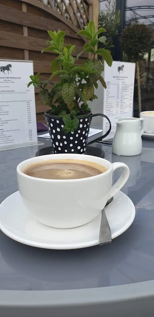 Menu_Black Horse Cafe_Earls Colne_image_8