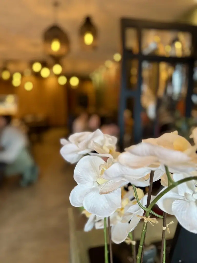 Mark Plumb_Little Lotus_Eaglescliffe_review