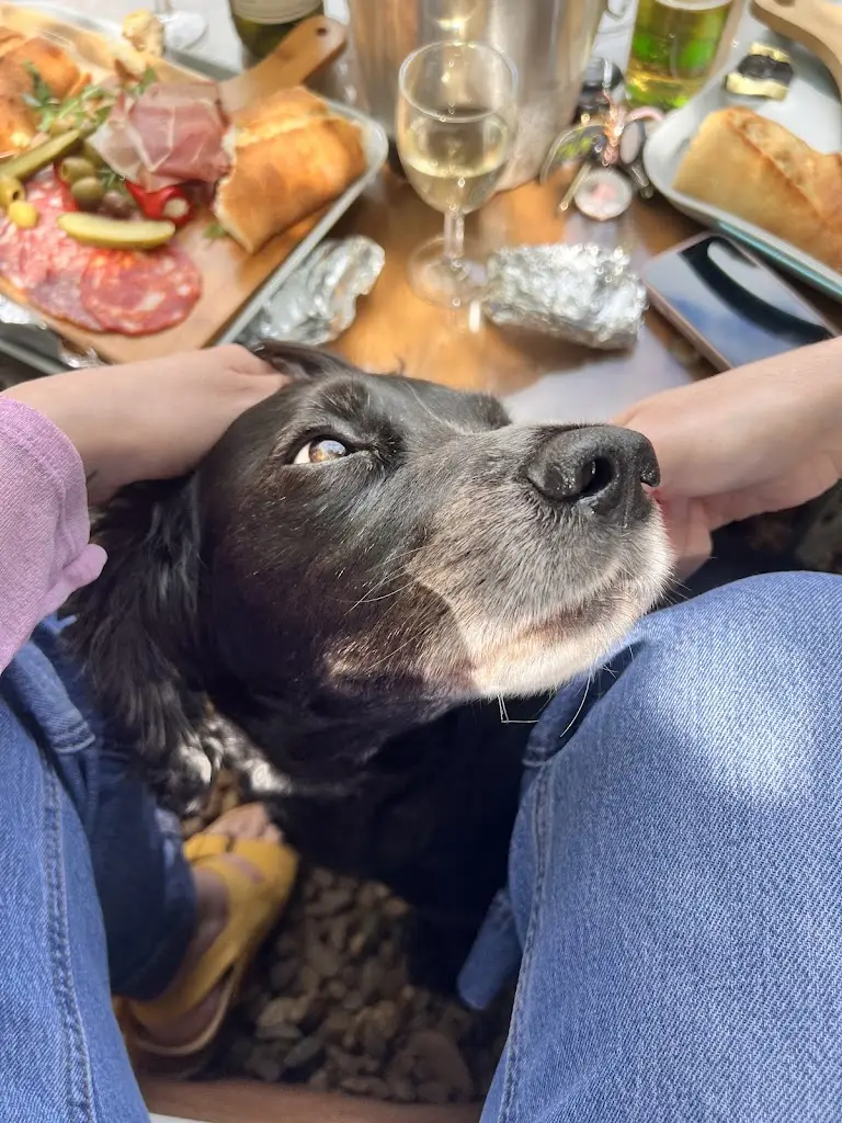 danielle perrett_New Lodge Vineyard_Earls Barton_review