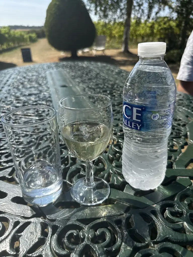 Angela Vlad_New Lodge Vineyard_Earls Barton_review