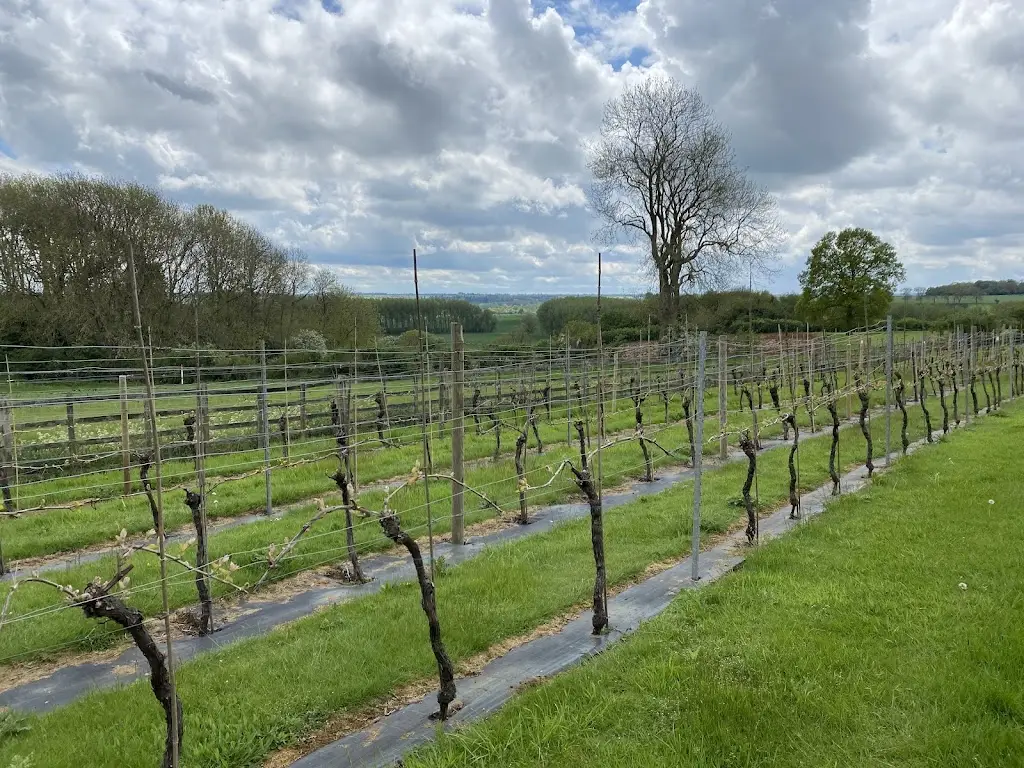New Lodge Vineyard restaurant in Earls Barton