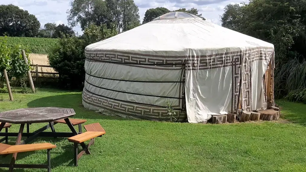 New Lodge Vineyard_Earls Barton_slider_image_2