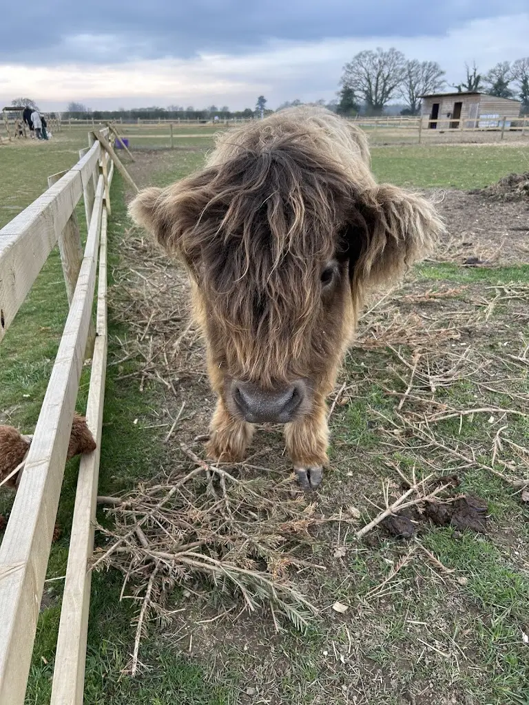 Victoria Beckwith_Fields Farmshop & Restaurant_East Bergholt_review
