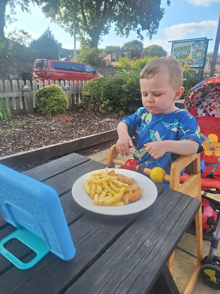 Kaylie Cook_Bay Horse_Ashton in Makerfield_review