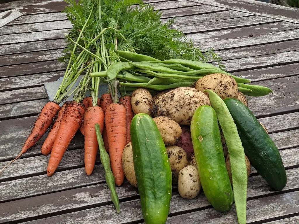 David Shepherd_The White Swan Inn_Dunstable_review