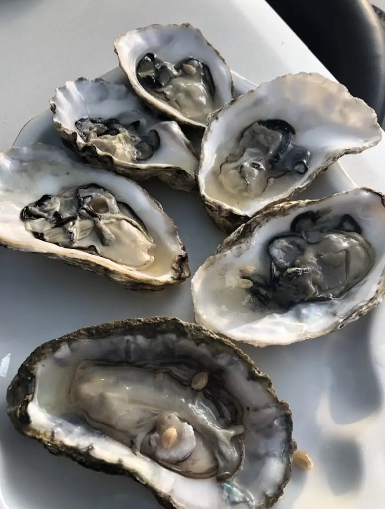 Menu_Casa Mia_East Molesey_image_5