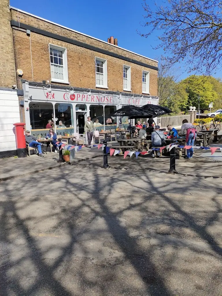 Dai Tree_The Mute Swan_East Molesey_review