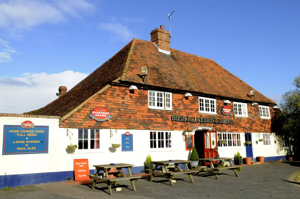 Bush, Blackbird & Thrush_East Peckham_slider_image_3