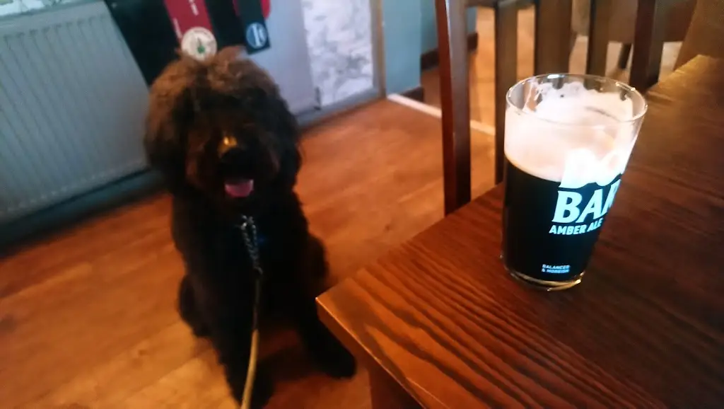 Menu_Nags Head_East Leake_image_9