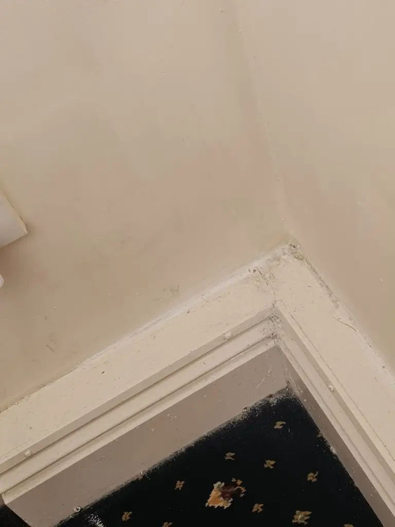 sue bailey_The Shurland Hotel_Eastchurch_recensione