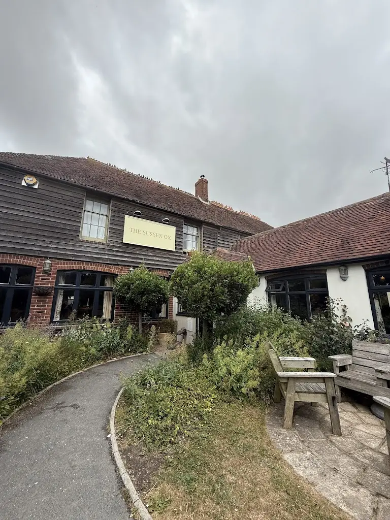 Als Adventures Alison_Sussex Ox_East Sussex_review