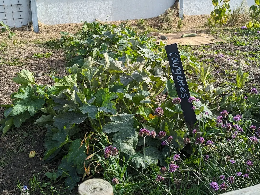 Giles Cuddy_Eastington Farm Shop_Eastington_review