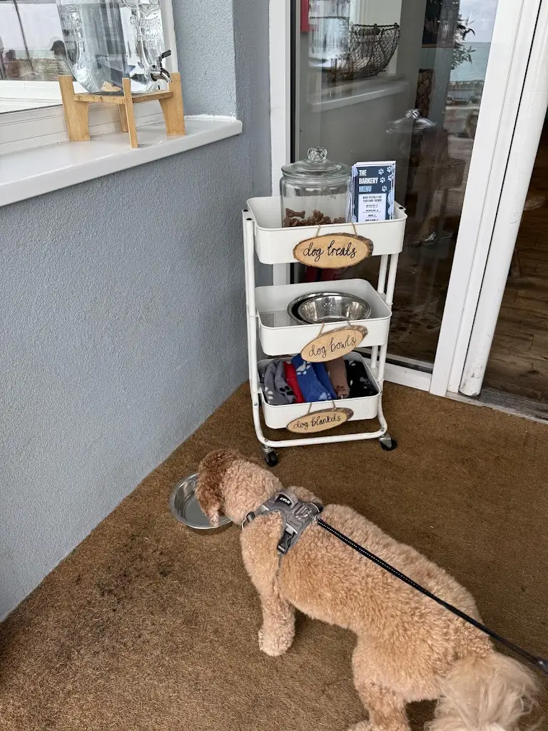 Paul Vivas_The Beach Deck_Eastbourne_review