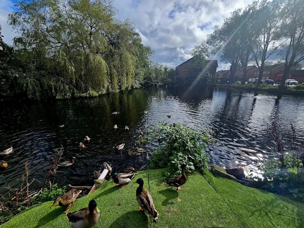 Daniela Paun_Verdes_Eccleston_review