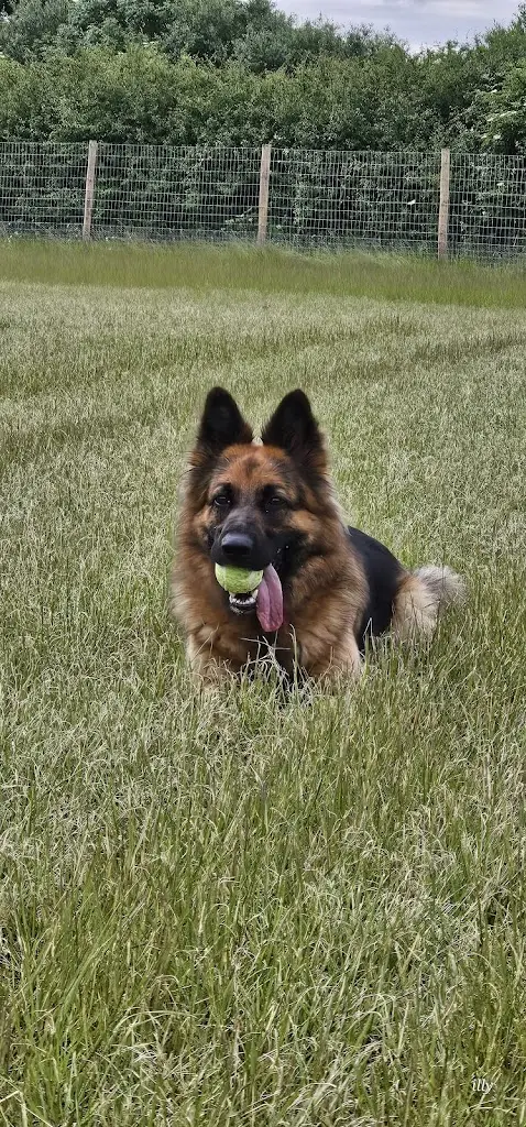 illy illy_Eastrington Village Hall_Eastrington_review