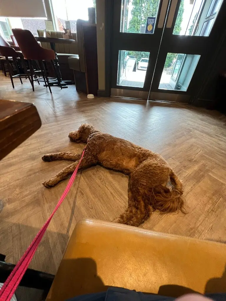 Jordan Wilson_Gemini_East Dereham_review