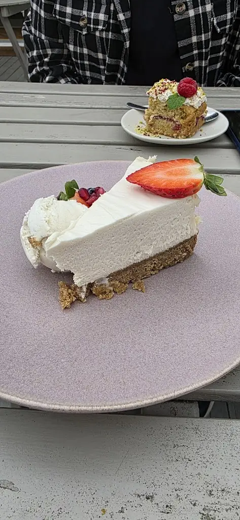 Stuart Thomas King_Earthlings_Edgworth_review