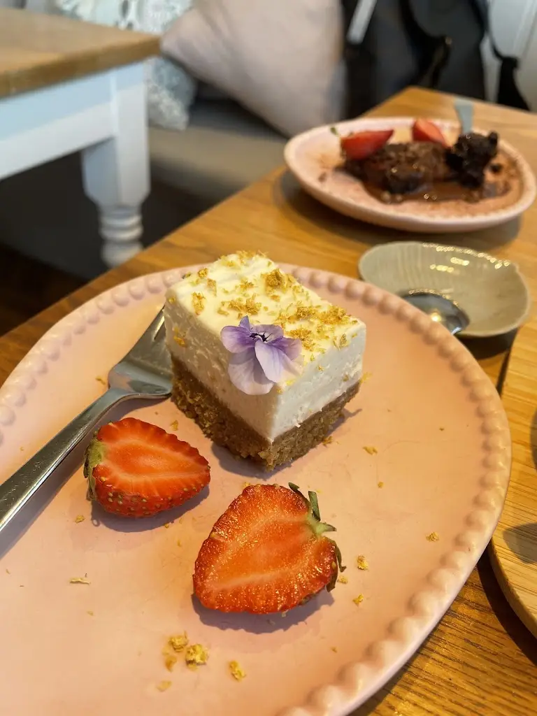 Phyr_Earthlings_Edgworth_review