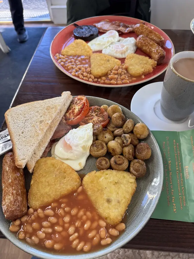 Quy Anderson_The Shed Cafe_Elmstead Market_review