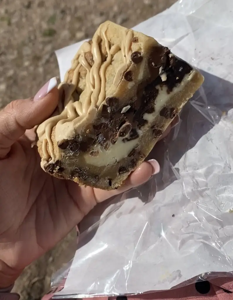 Miss_Petes Sandwich Bar_Ellesmere_review