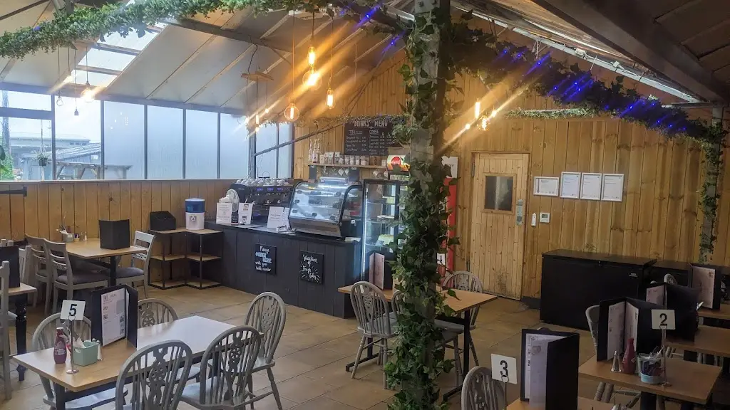 The Bay Café_Astwood Bank_slider_image_1