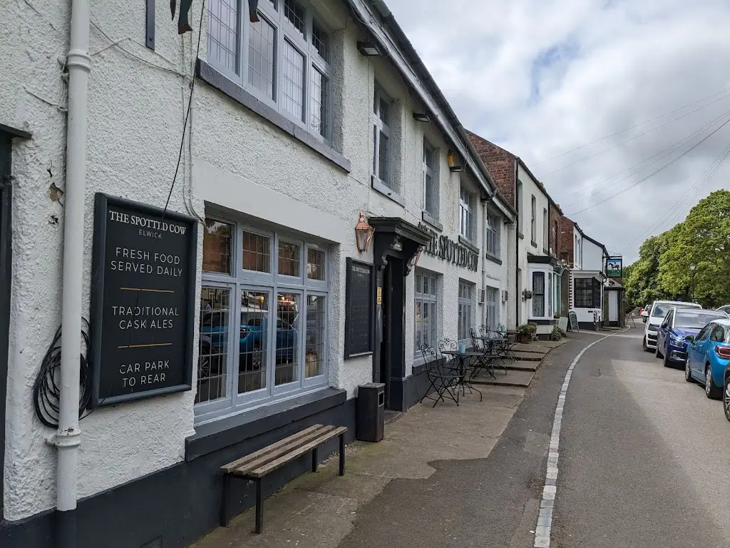 Sean Harte_Spotted Cow_Elwick_review