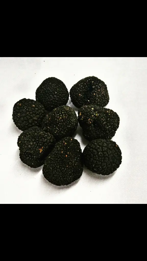 Menu_The Lower Street Brasserie_Elsenham_image_7