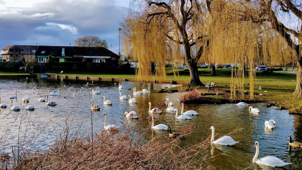 Ambience Cafe Ltd_Eaton Socon_slider_image_3