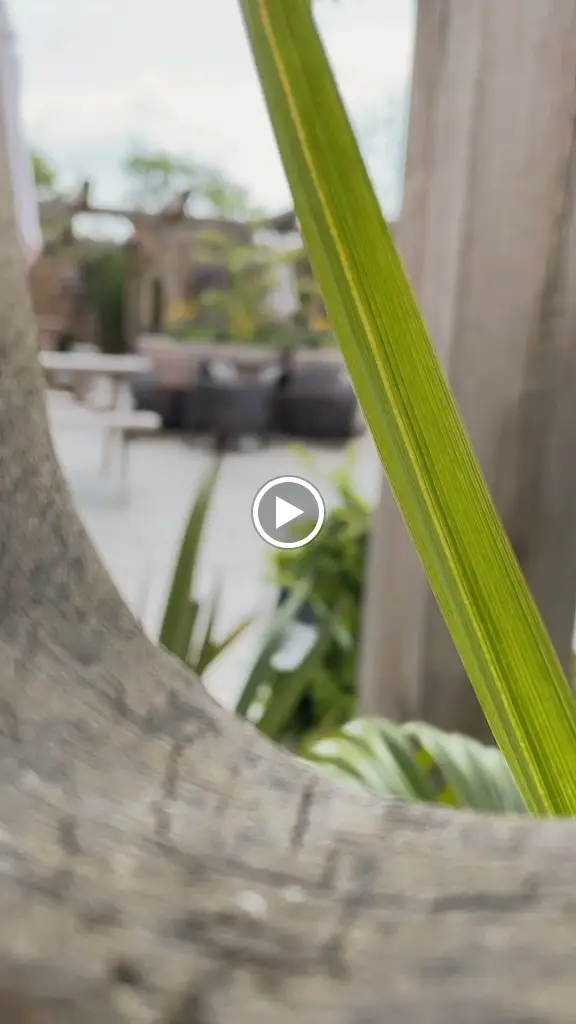 The White Lion Hankelow_Audlem_slider_image_2