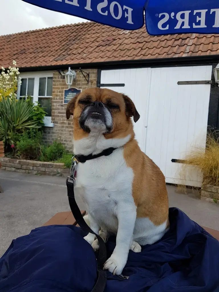 John Shaw_Greyhound Public House_Eton Wick_reseña